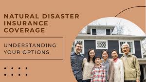 Natural Disaster Strikes – Is Your Coverage Enough?