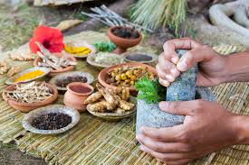 Herbal Healing: What Works and What’s Hype