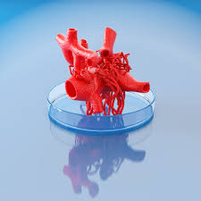 3D Printed Organs – When Will They Replace Donors?