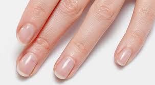 Why You Should Pay Attention to Your Fingernails