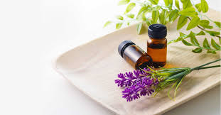 Why Smelling Lavender Could Help You Sleep