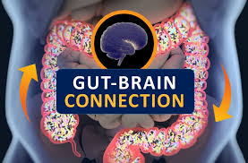 The Surprising Link Between Gut Health and Anxiety